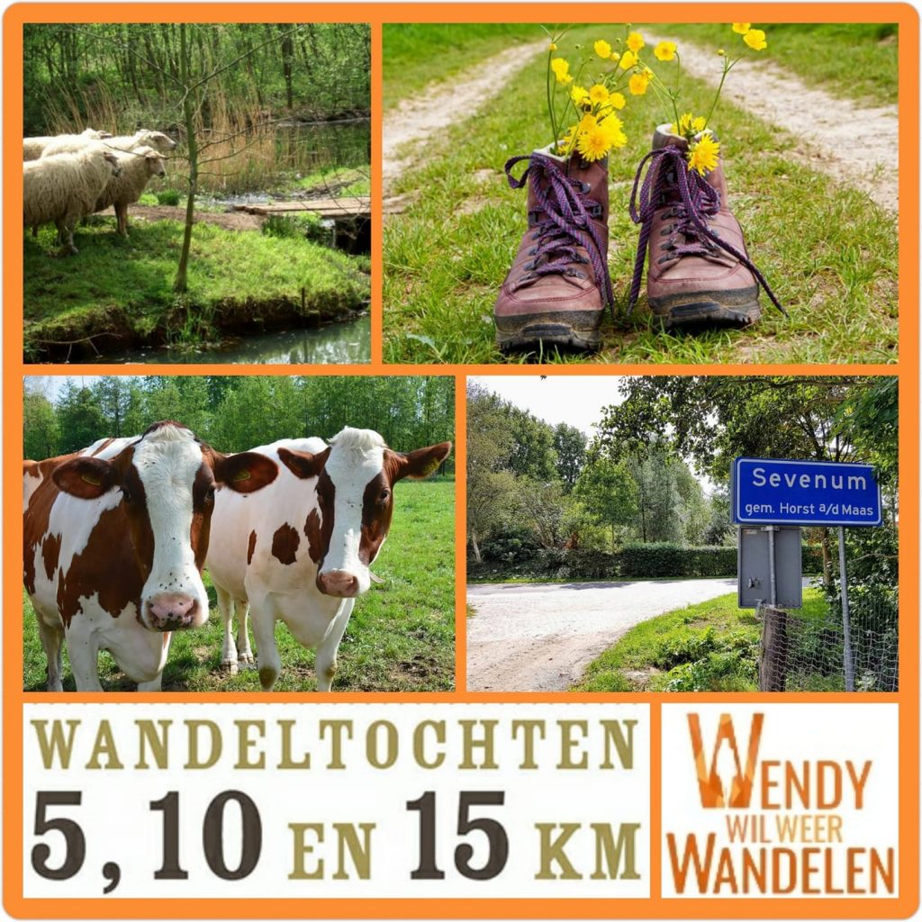 Kan een afbeelding zijn van schoenen, buitenshuis en de tekst 'Sevenum gem. Horst MCM WANDELTOCHTEN WENDY ENDY 5, 10 EN 15 KM WANDELEN WILWEER'